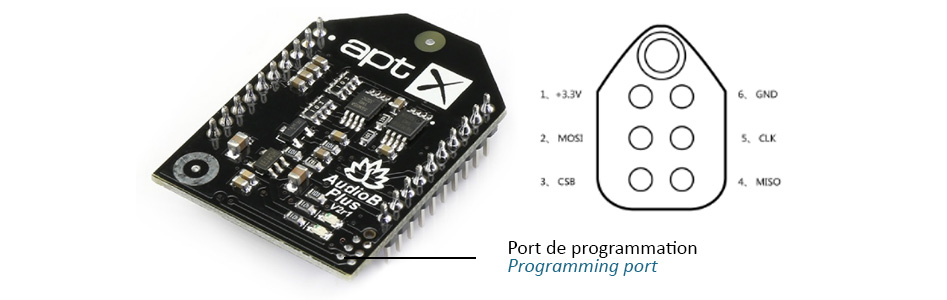 Configurer un module amplificateur Bluetooth TinySine en mode Mono